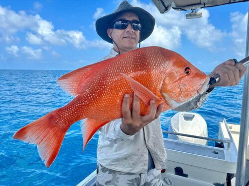 Angler holding a freshly caught Red emperor fish