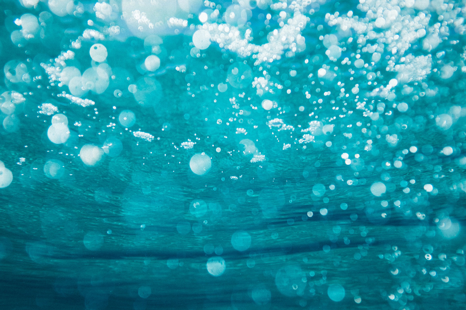 Underwater shot showing bubbles